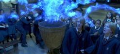 Harry Potter und der Feuerkelch